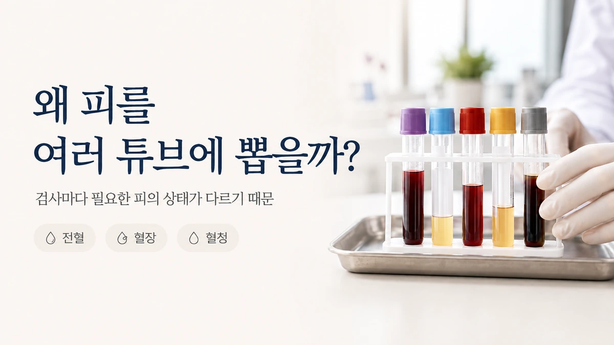 피검사할 때 왜 피를 여러 튜브에 나눠 뽑을까?: 전혈·혈장·혈청이 필요한 이유