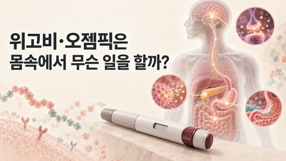 위고비·오젬픽은 몸속에서 정확히 무슨 일을 할까?: GLP-1 기전과 우울장애 논란