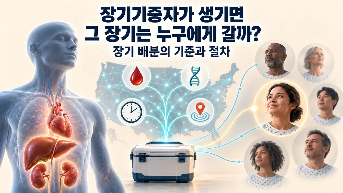 장기기증자가 생기면 그 장기는 누구에게 갈까?: 미국 장기 배분 시스템(OPTN)의 기준과 절차