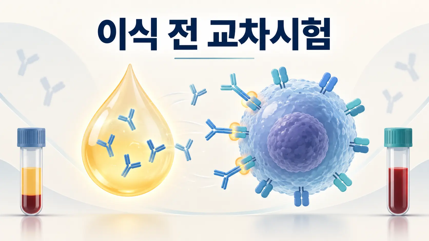 이식 전에 두 사람의 피를 섞어보는 이유: Crossmatch, 교차시험이란?