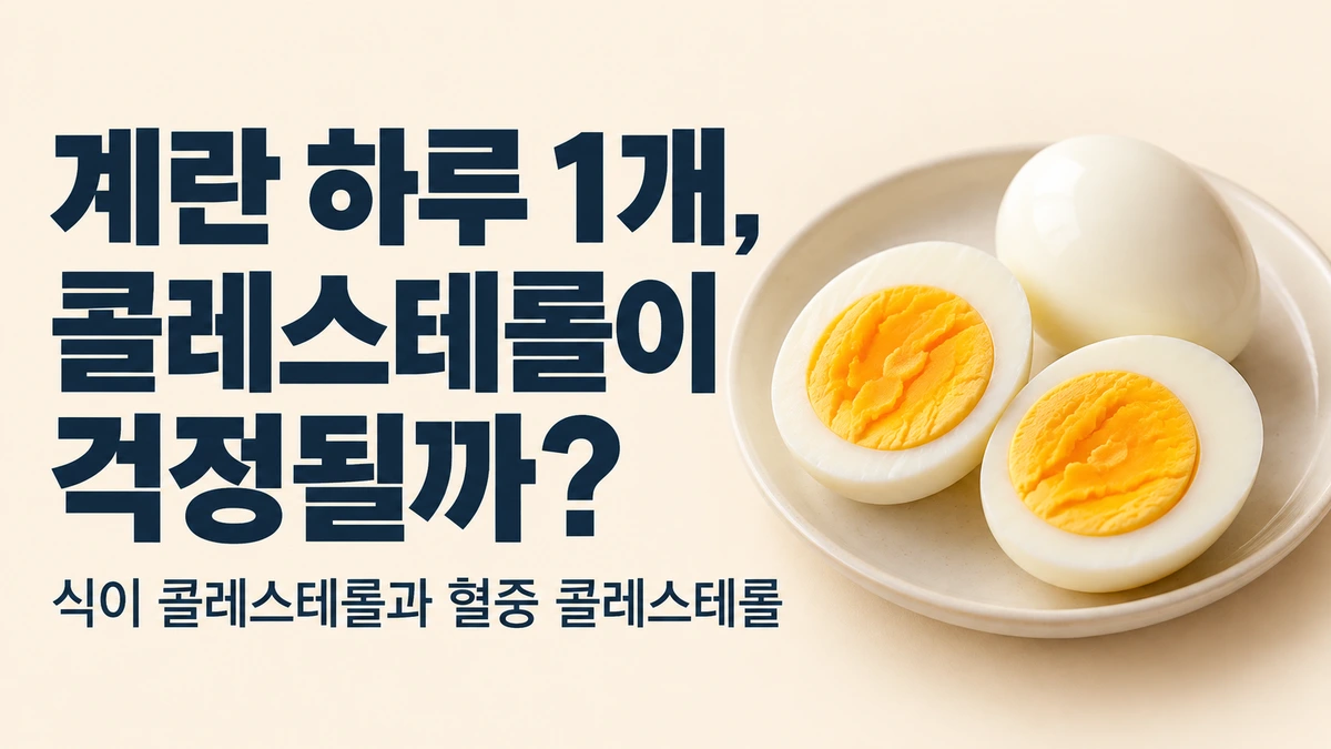 계란은 콜레스테롤 폭탄이라 하루 1개도 많이 먹는 걸까?: 식이 콜레스테롤과 혈중 콜레스테롤의 관계